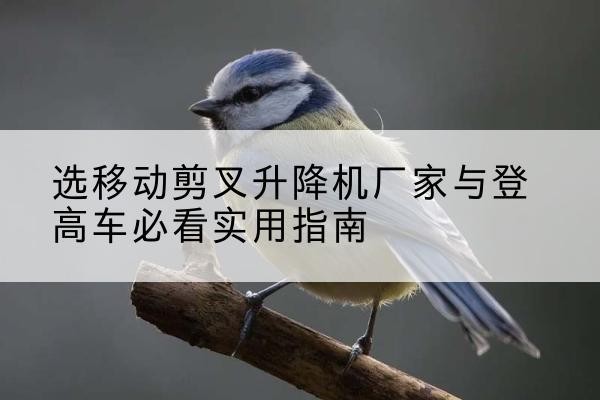 色尼电动升降机厂家-选移动剪叉升降机厂家与登高车必看实用指南