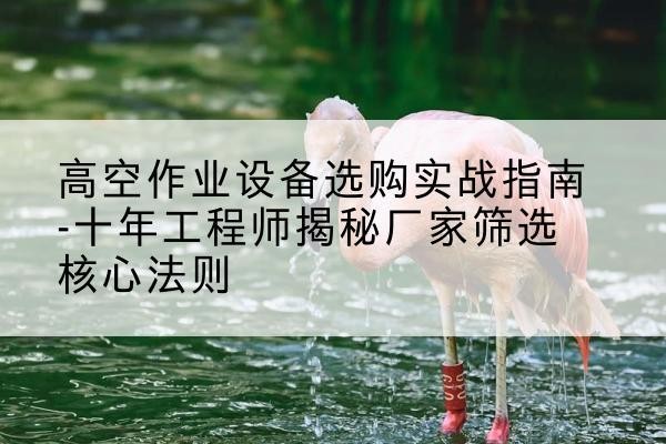 色尼剪叉式升降机厂家-高空作业设备选购实战指南-十年工程师揭秘厂家筛选核心法则