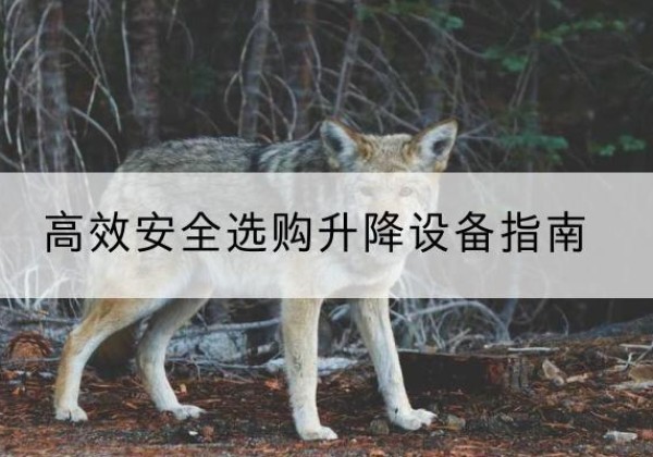 色尼升降货梯厂家推荐-*安全选购升降设备指南