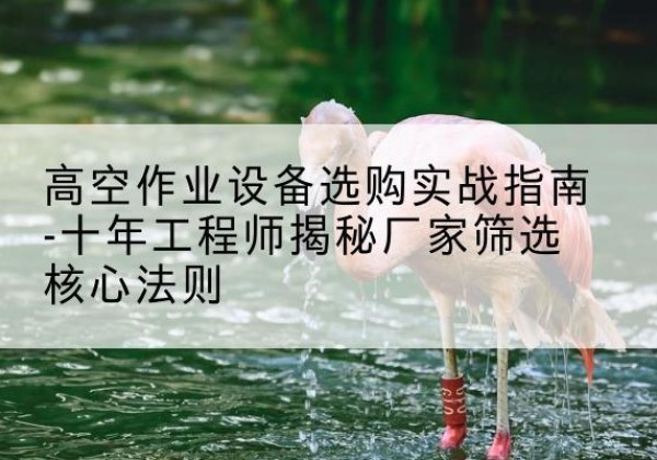 色尼剪叉式升降机厂家-高空作业设备选购实战指南-十年工程师揭秘厂家筛选核心法则
